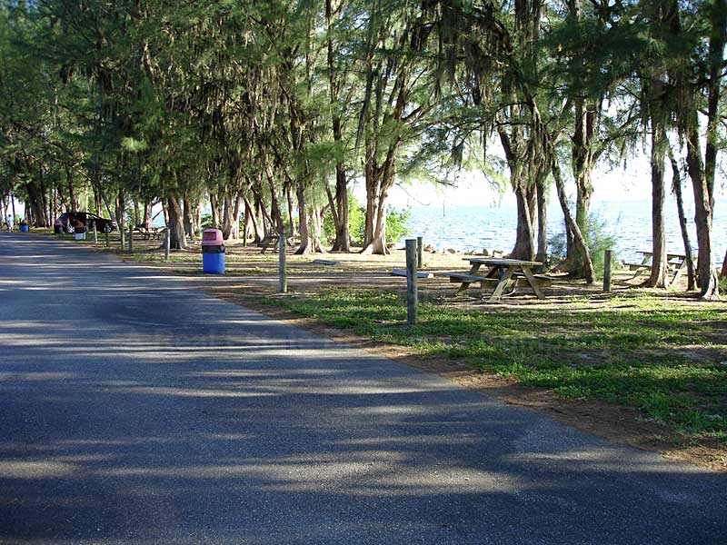 Beach Parkway Condos Jaycee Park Walkway